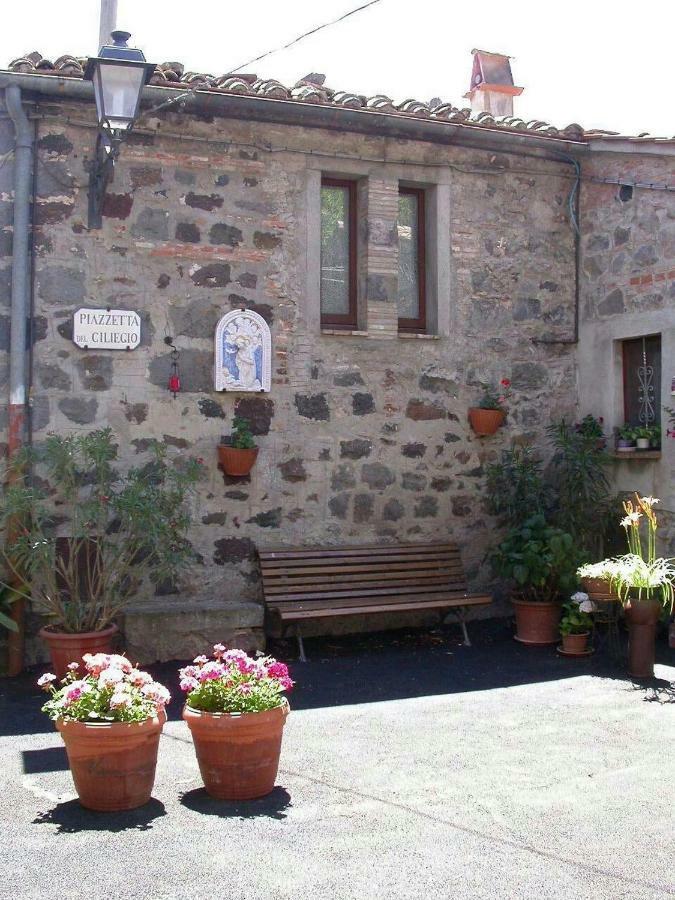 Villa Casa Del Ciliegio Radicofani Exterior foto